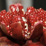Pomegranate (SS) 25%