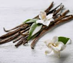 Jasmine Vanilla (SS) 5%